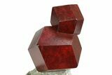 Twinned Maroon Almandine Garnets in Schist - Italy #352087-1